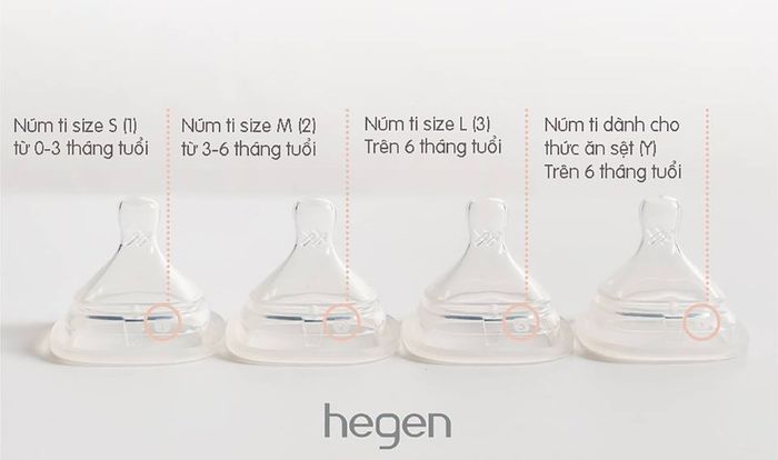 Bộ 2 núm ti Hegen cổ rộng size Y (từ 6 tháng)