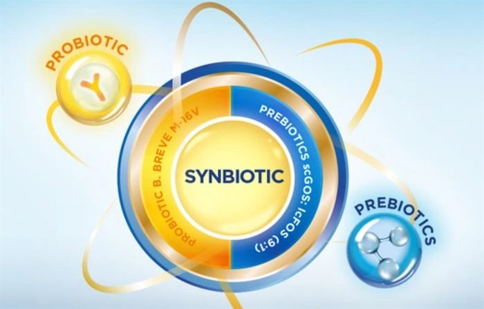 Synbiotic là sự phối hợp giữa prebiotics và probiotics