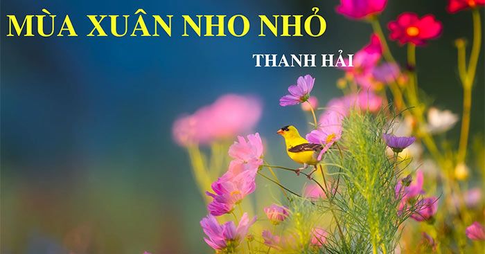 Mùa xuân nho nhỏ