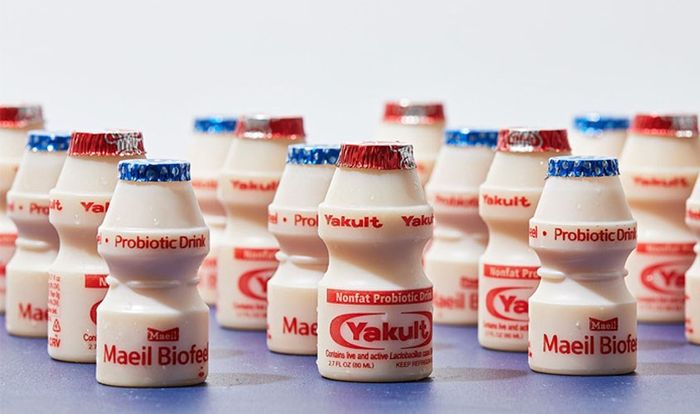 Sữa chua Yakult có hơn 6,5 tỷ vi khuẩn L. Casei Shirota trong thành phần