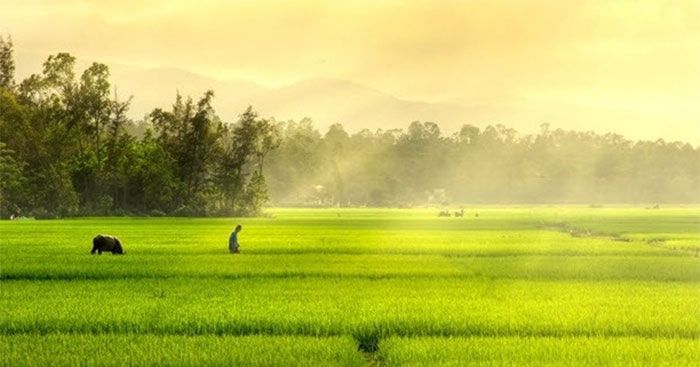 Một ngày mới