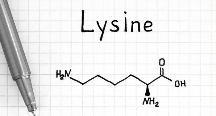 Những lưu ý khi bổ sung Lysine