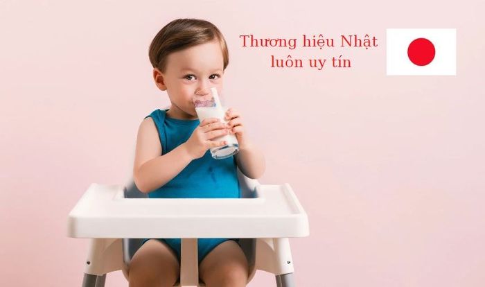 Nhật Bản có nhiều thương hiệu sữa uy tín