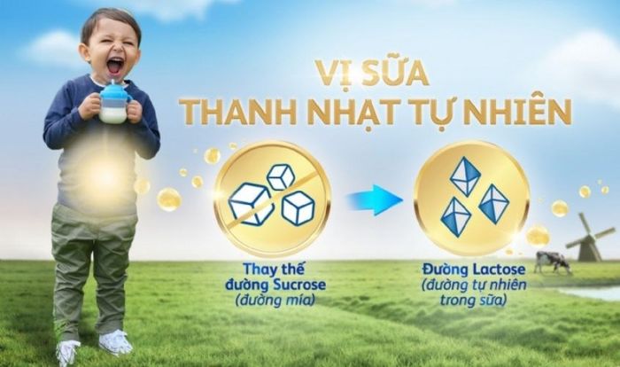 Friso mang đến hương vị tươi mới