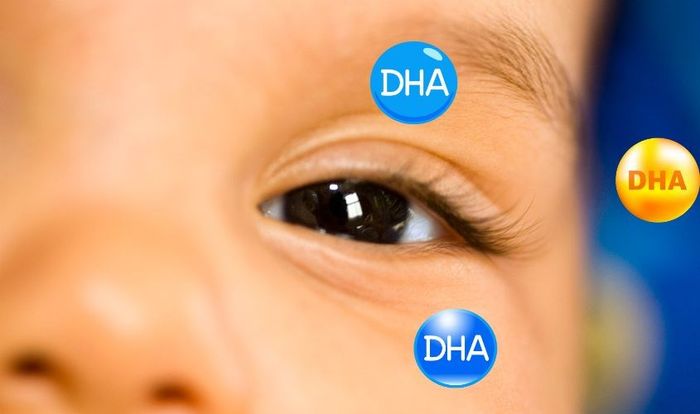 DHA ảnh hưởng tích cực đến sự phát triển thị lực