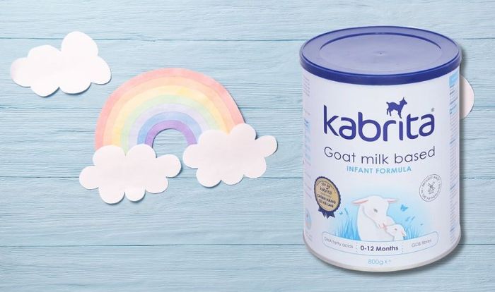 Sữa bột Kabrita số 1 dung tích 800g (dành cho trẻ từ 0 - 12 tháng tuổi)