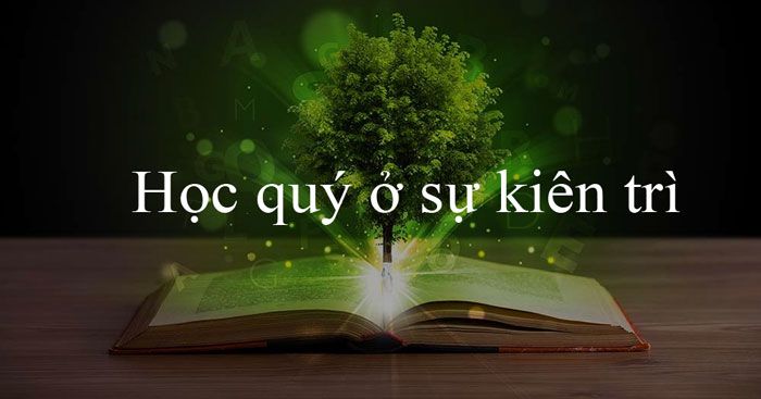 Thảo luận về quan điểm quý giá của Học ở Sự Kiên Nhẫn