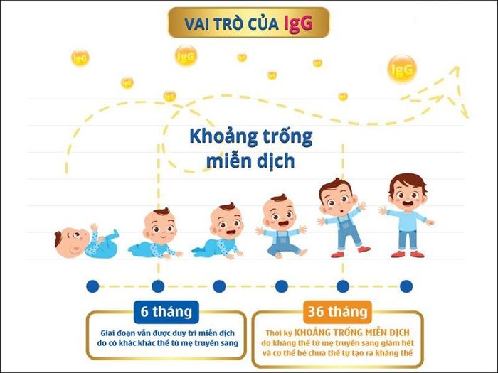 Kháng thể IgG từ sữa non giúp tăng cường miễn dịch và sức đề kháng cho trẻ