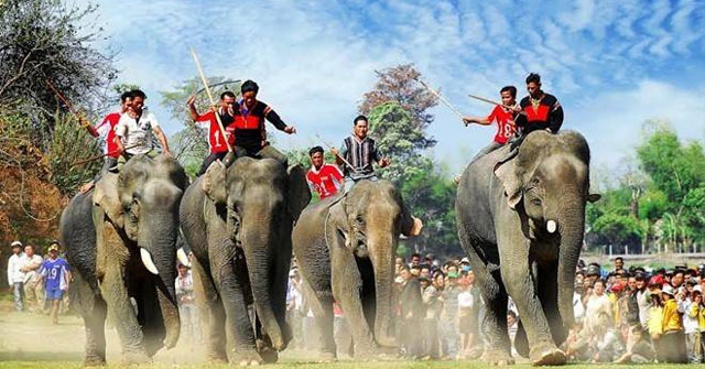 Miêu tả về lễ hội đua voi ở Tây Nguyên