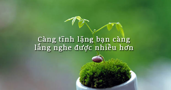 Phân tích về câu Càng im lặng, bạn càng nghe được nhiều hơn