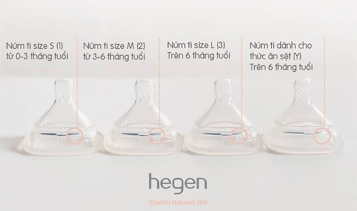 Bộ 2 núm ti Hegen cổ rộng size L (từ 6 tháng tuổi)