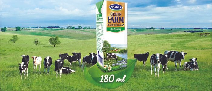 Sản phẩm sữa tươi Vinamilk Green Farm có đường 180 ml