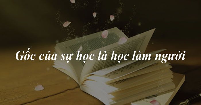 Bài luận về quan điểm căn bản của việc học là để trở thành một con người hoàn thiện