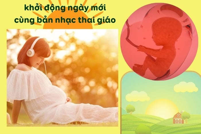 Nghe nhạc thai giáo trong 3 tháng cuối thai kỳ