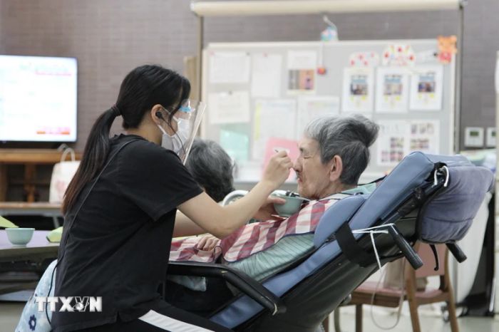 Hộ lý viên người Việt chăm sóc người cao tuổi tại Cơ sở Phúc lợi Kirishiki ở tỉnh Saitama. (Ảnh: Đào Thanh Tùng/TTXVN)