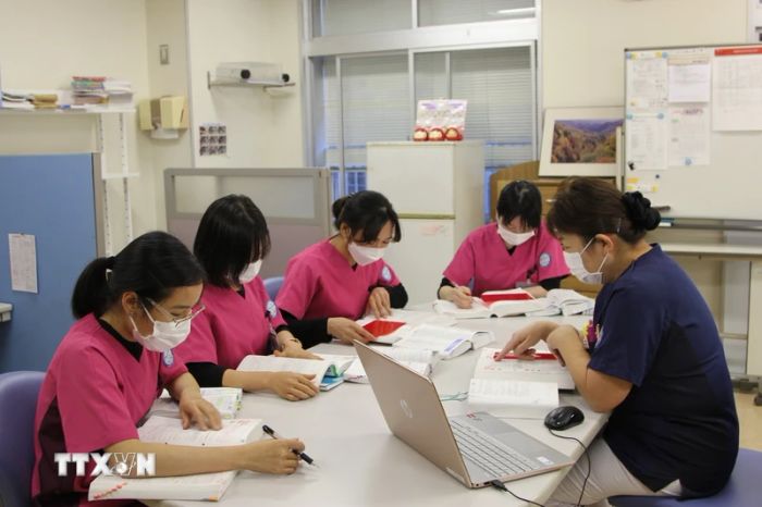 Một buổi học của ứng viên điều dưỡng Việt Nam tại Bệnh viện Đại học Y Saitama. (Ảnh: Đào Thanh Tùng/TTXVN)