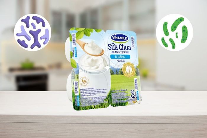 Hộp 4 sữa chua Vinamilk ít đường 100g chứa nhiều vi khuẩn có lợi như lactobacillus và bifidobacterium