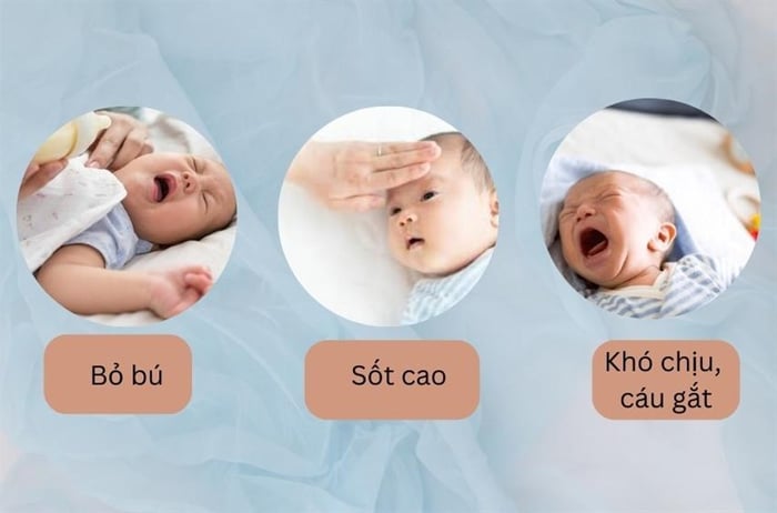 Nhịp thở của bé sơ sinh