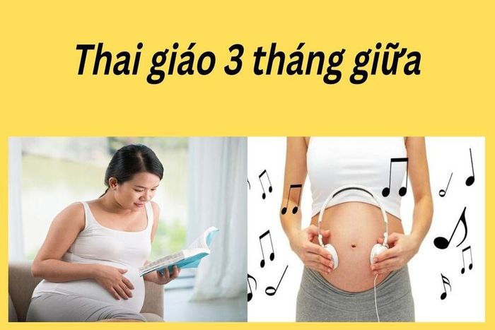 Ý nghĩa của thai giáo 3 tháng giữa trong thai kỳ