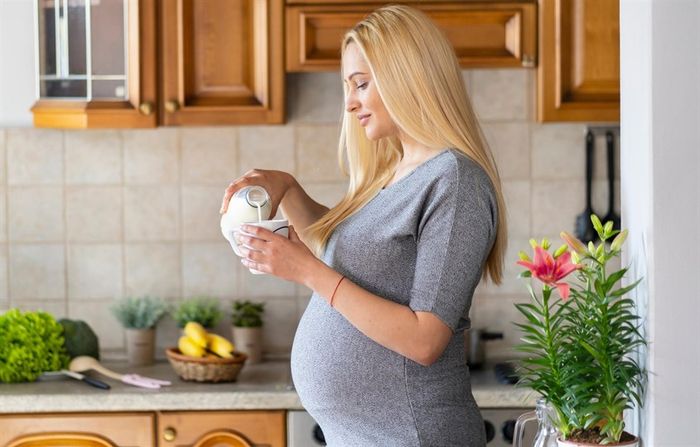 Uống 3 ly sữa bầu XO mỗi ngày là lựa chọn tốt