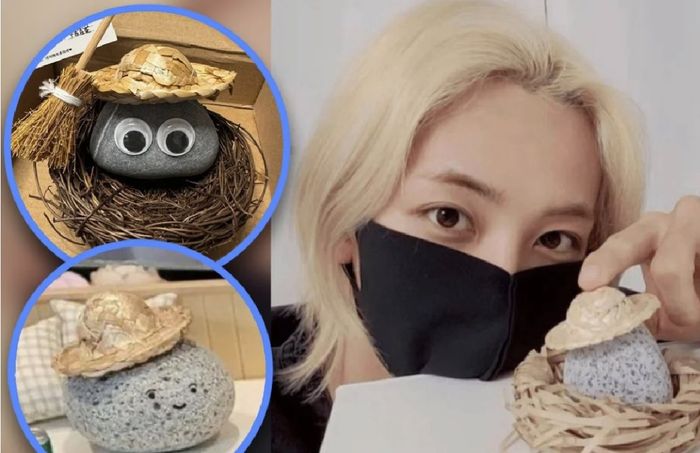 Một số 'pet rock' của giới trẻ Hàn Quốc. (Ảnh: Instagram)
