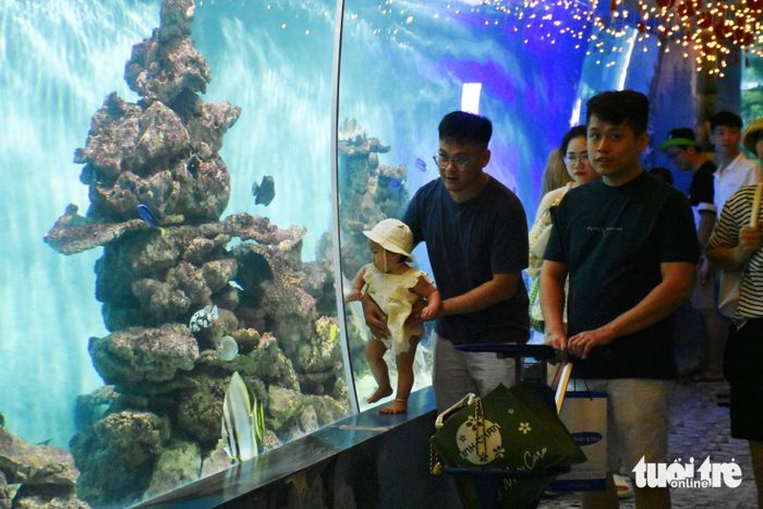 Đường hầm xuyên núi Cảnh Long, với xung quanh là thế giới sinh vật biển đa dạng gây ấn tượng mạnh cho mọi người khi đặt chân đến Bảo tàng Hải dương học - Ảnh: TRẦN HOÀI