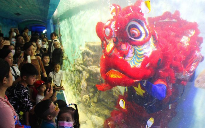 Bảo tàng Hải dương học ở Nha Trang đã trải qua sự đổi mới, thu hút du khách bằng thế giới sinh vật dưới biển