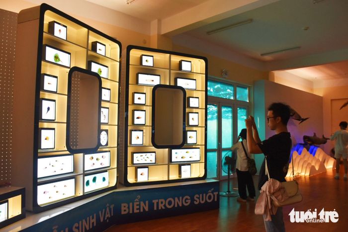 Khu vực của các loài sinh vật biển trong suốt - Ảnh: TRẦN HOÀI