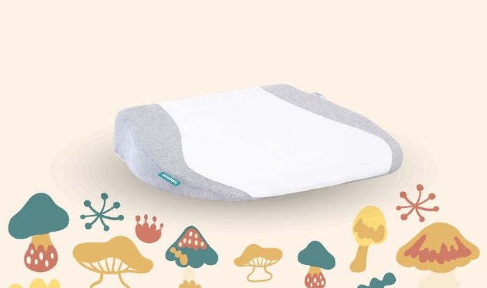 Gối chống trào ngược Babymoov
