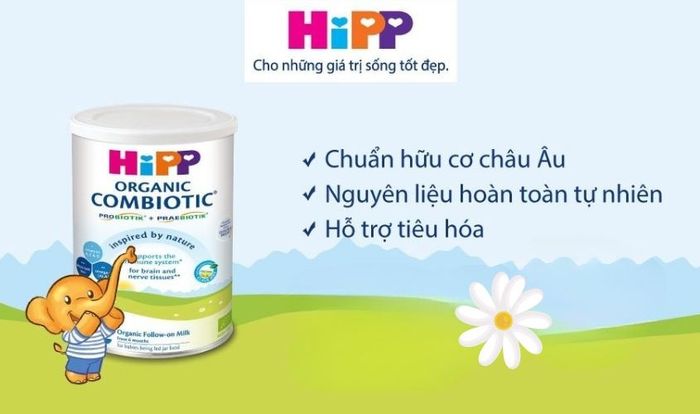 Sữa bột HiPP Organic Combiotic số 1 350g (0 - 6 tháng)