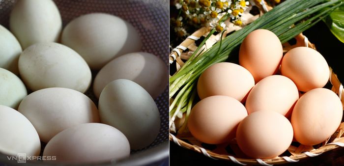 Trứng vịt lớn hơn, giàu dinh dưỡng hơn, và có nhiều lỗ khí trên vỏ hơn so với trứng gà.