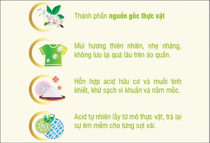 Thành phần an toàn trong nước giặt