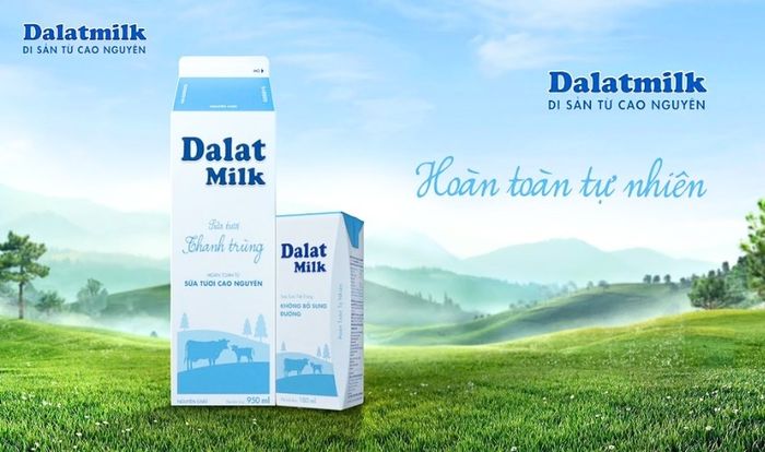 Sữa tươi thanh trùng Dalat Milk