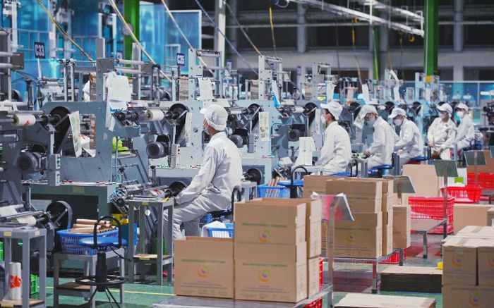 Tập đoàn SK Hàn Quốc đang xây dựng một nhà máy lớn tại Hải Phòng