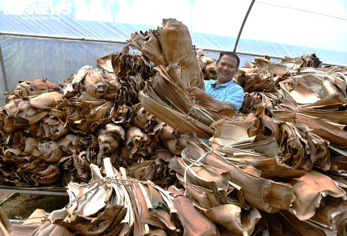 Chén, đĩa làm từ mo cau, được xuất khẩu ra nhiều quốc gia trên 5 châu - 2