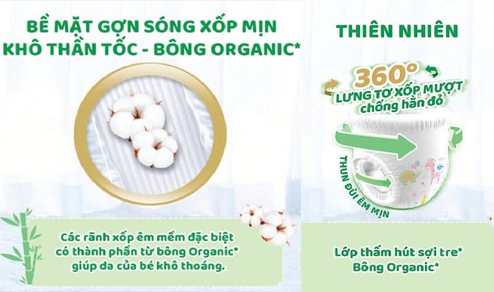 Thiết kế 360 độ Anatomic Fit, lưng thun co dãn ôm sát theo đường cong cơ thể