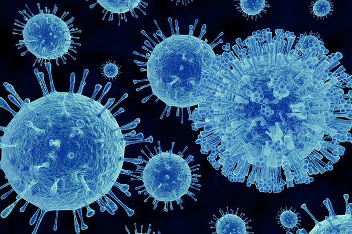 Các chủng virus gây sốt siêu vi ở người lớn