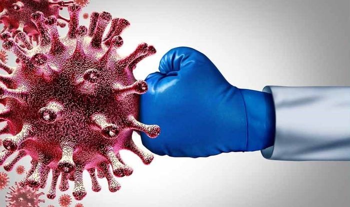 Tăng cường sức đề kháng chống lại virus gây hại cho cơ thể