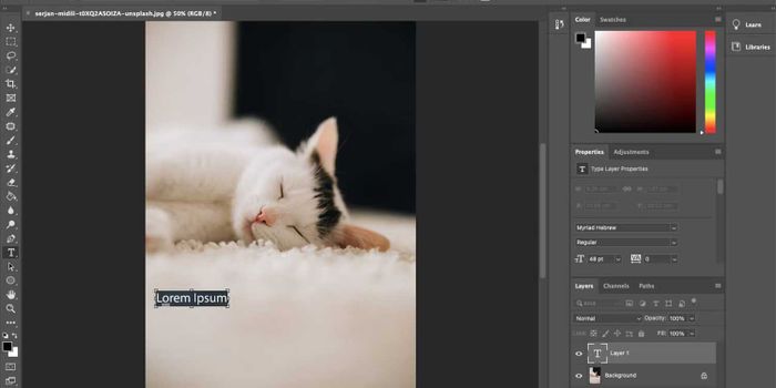 Thêm chữ vào ảnh bằng Photoshop
