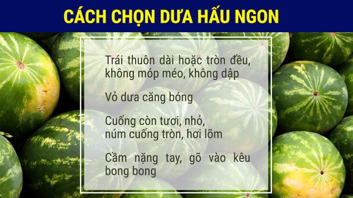 Hướng dẫn lựa chọn dưa hấu ngon