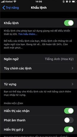 Kích hoạt Voice Control trên iPhone