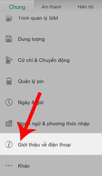 Chạm vào mục Giới thiệu điện thoại