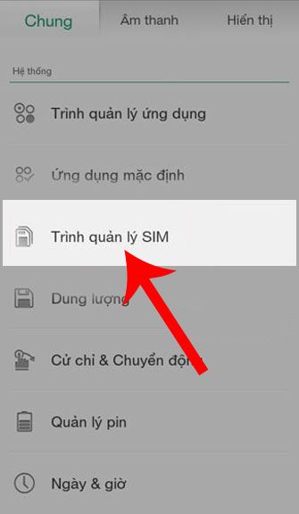 Chọn Trình quản lý Sim