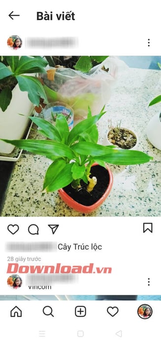 Ảnh được đăng trên Instagram