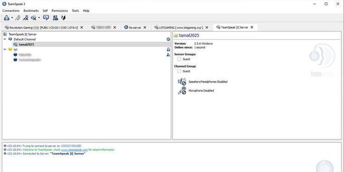 TeamSpeak