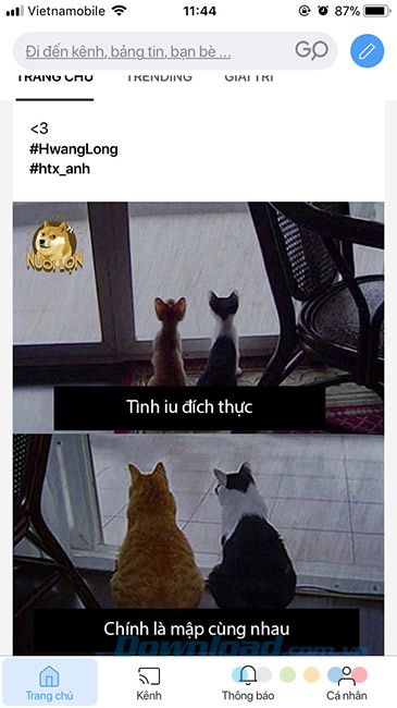 Tin tức giải trí trên Lotus