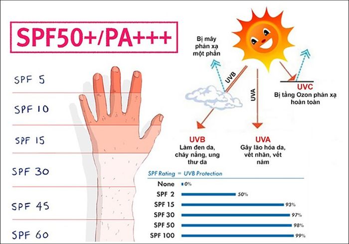 Tác động của tia UV từ ánh nắng mặt trời đến da