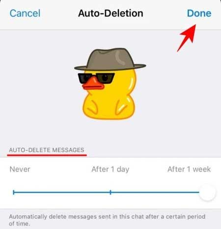 Tự động xóa tin nhắn trên Telegram cho iOS