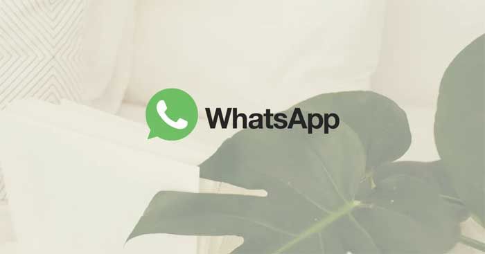 Cách xóa tài khoản WhatsApp