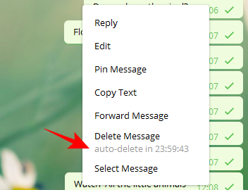 Xem thời gian xóa tin nhắn trên Telegram trên PC